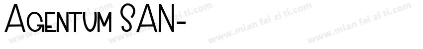 Agentum SAN字体转换